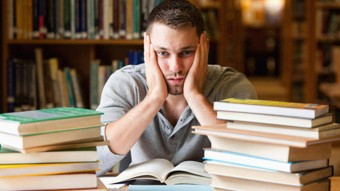 Essay Help Essay Help